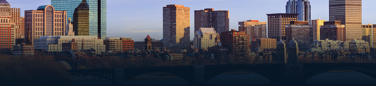 Photograph of Boston with buildings and a bridge in the background